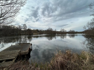 Cliquez pour en savoir plus...