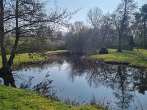 Cliquez pour en savoir plus...